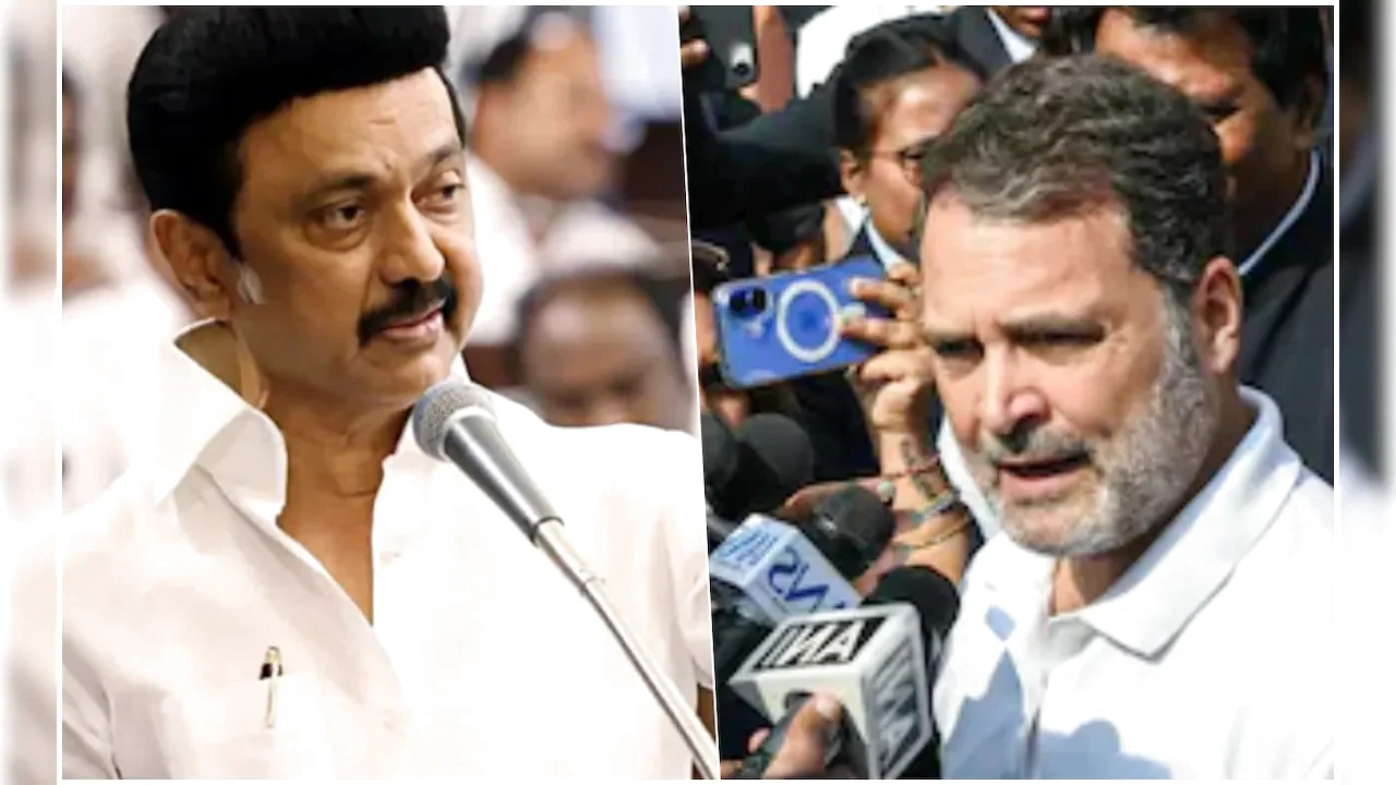 "A Big Joke, राजनीतिक रूप से अपरिपक्व": DMK का ऑल-आउट अटैक ऑन राहुल गांधी: आरोप पर नई जानकारी