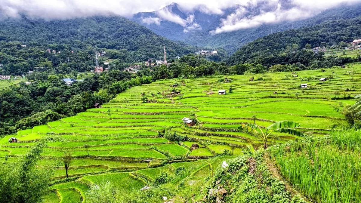 Indigenous मिट्टी, पानी प्रबंधन बनाए रखने नागालैंड terrace खेती, अध्ययन का कहना है के बीच सांस्कृतिक चर्चा में