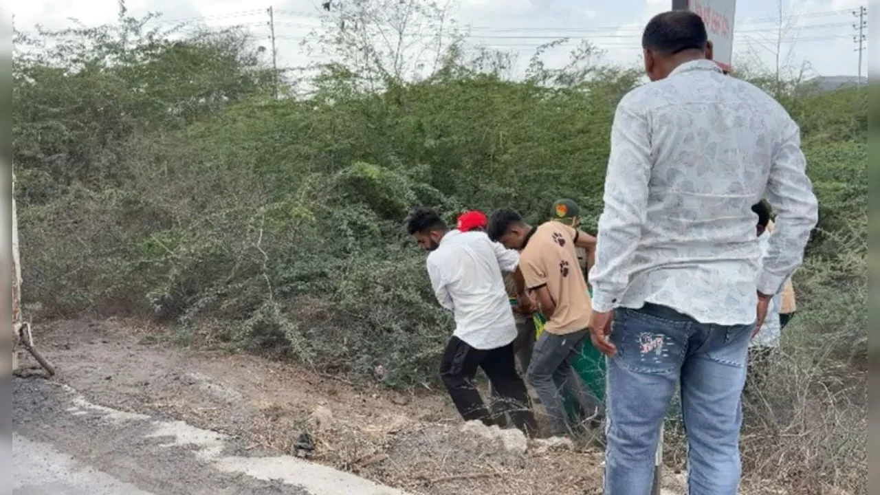 Lion Mauls Man To Death in Gujarat, Severed Head, Body Parts Recovered: संरक्षक पर नई जानकारी