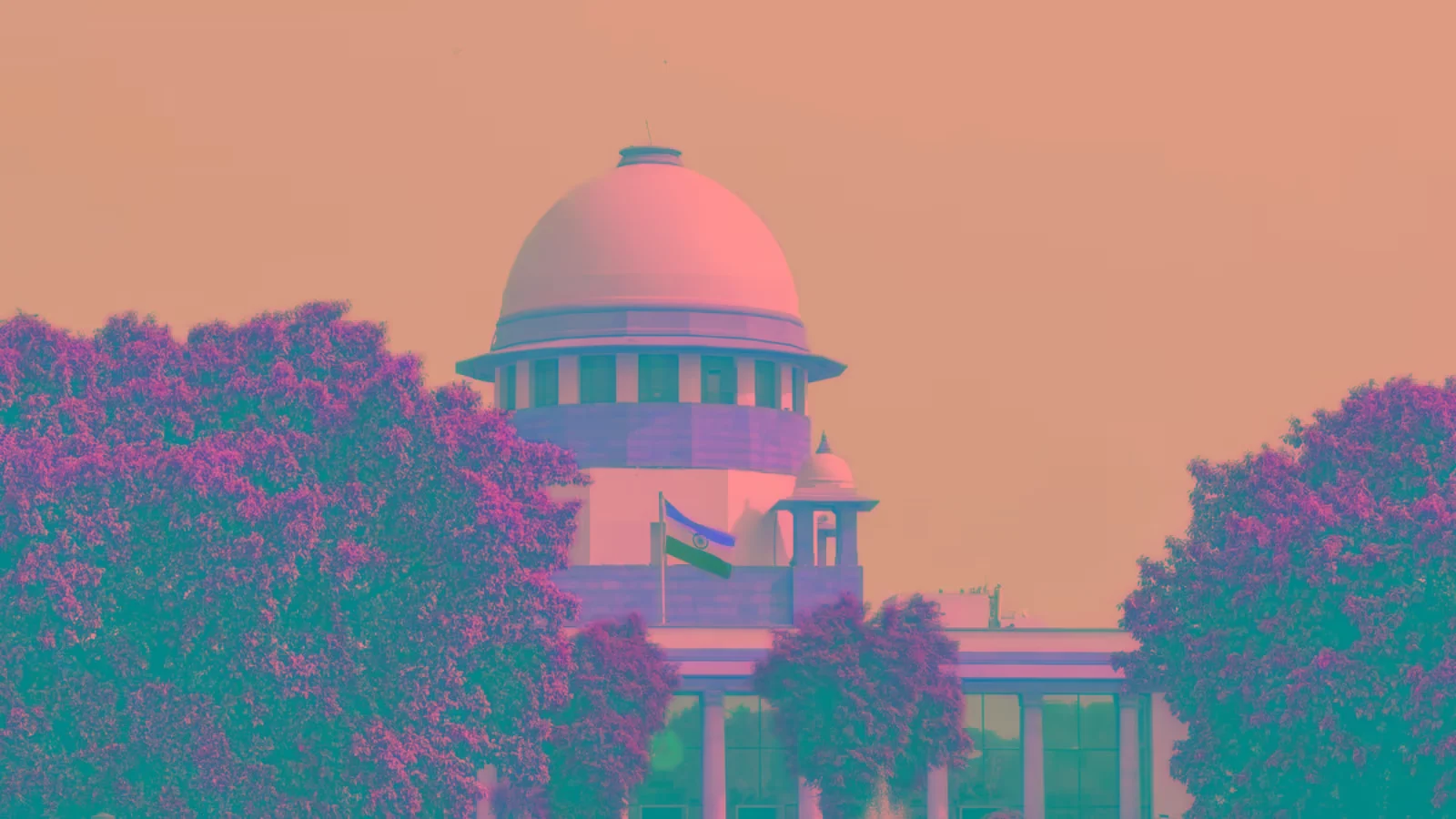 एससी आरटीई अधिनियम के तहत ईडब्ल्यूएस प्रवेश के केंद्र, पंजाब सरकार की प्रतिक्रिया का अनुरोध करता है: किया पर नई जानकारी
