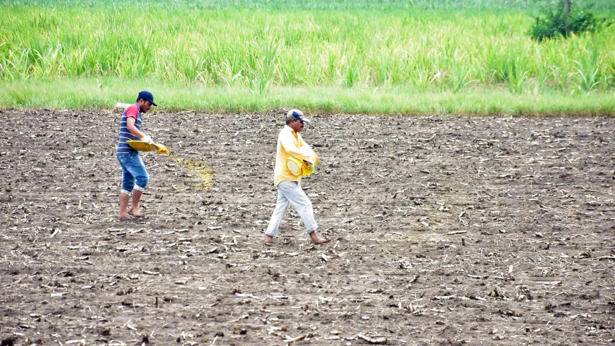 तेलंगाना सरकार ने वित्तीय चुनौतियों के बीच Rythu Bharosa kharif किस्त के लिए संसाधनों को जुटाने के प्रयासों को तेज कि...